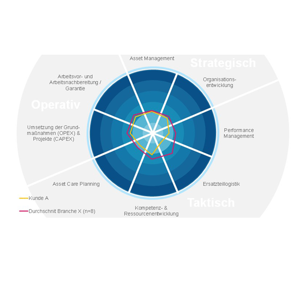 IH-Beratung: Status Quo Analyse und Benchmark (Auszug) FIR