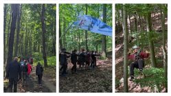 Ausschnitte vom Teambuilding Event im Wald: gemeinsames Suchen der einzelnen Stationen, mit verbundenen Augen den Weg finden und per Seilzug über die Schlucht gleiten